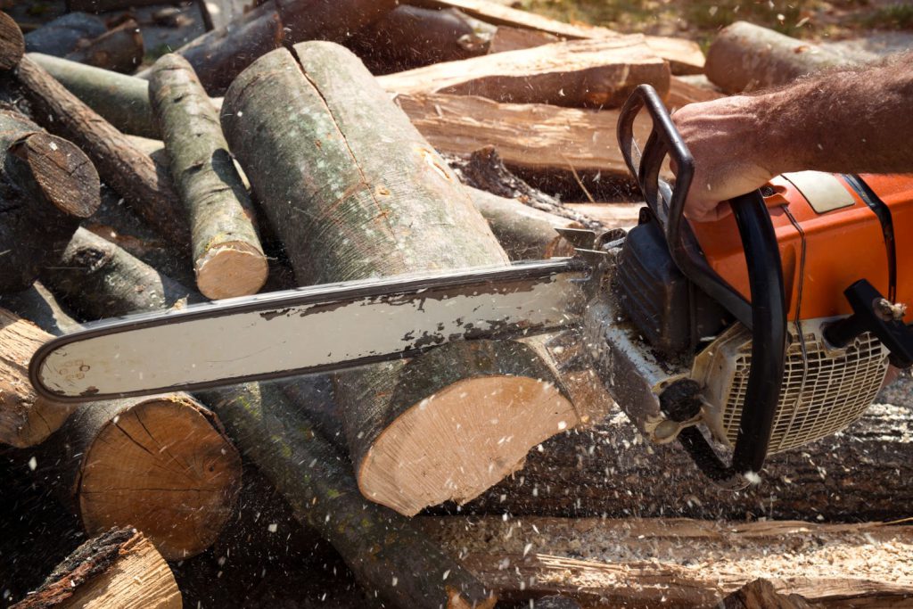 Koszty przetargów na wycinkę drzew mogą się różnić w zależności od wielu czynników, takich jak rodzaj drzewa, jego wielkość, trudność dostępu czy też ilość prac do wykonania